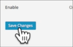 wordpress blogging how to save changes