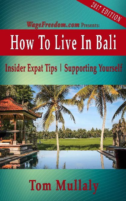 How To Live In Bali 2017 pool