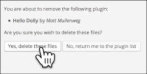 blogging on wordpress delete files