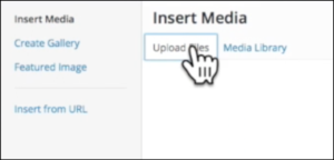 upload media in wordpress