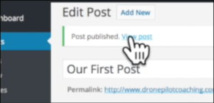 wordpress view post link