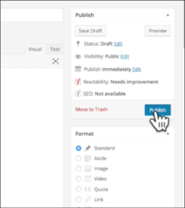 publish button in wordpress