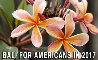 bali-for-americans-banner