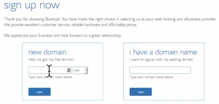 Start a blog Bluehost choose domain